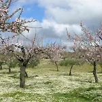 Moradias Douro Internacional 호텔