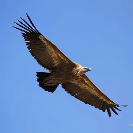 Moradias Douro Internacional