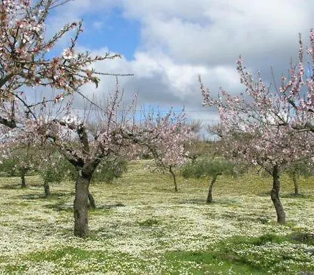 Moradias Douro Internacional Holiday park