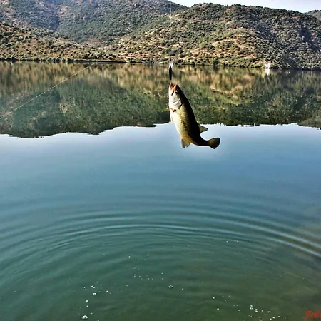 Moradias Douro Internacional Holiday park