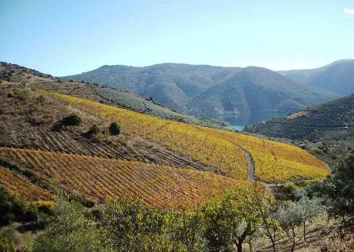 Hotel Moradias Douro Internacional *