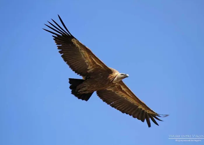 Moradias Douro Internacional