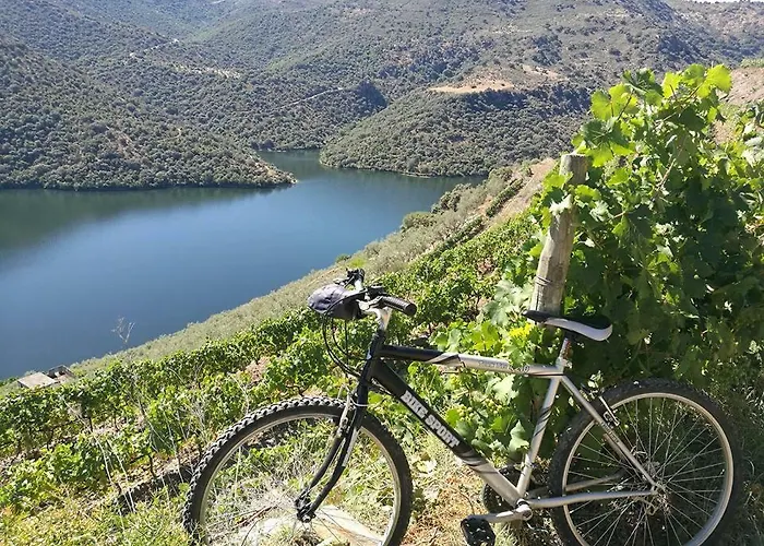 Moradias Douro Internacional