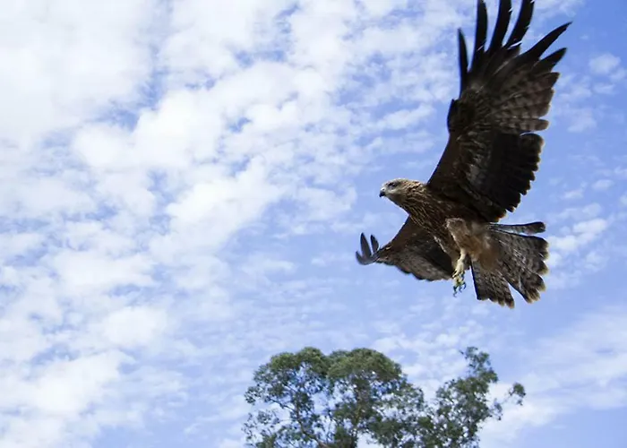 Moradias Douro Internacional