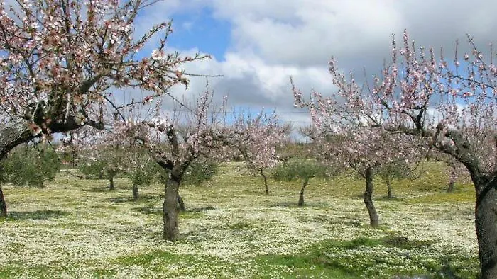 Moradias Douro Internacional 호텔