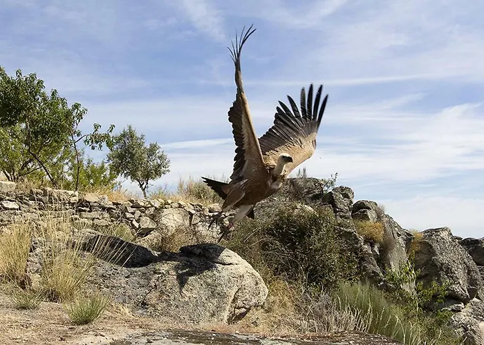 Hotel Moradias Douro Internacional *