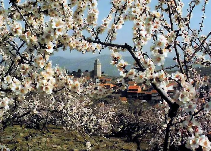 Hotel Moradias Douro Internacional *