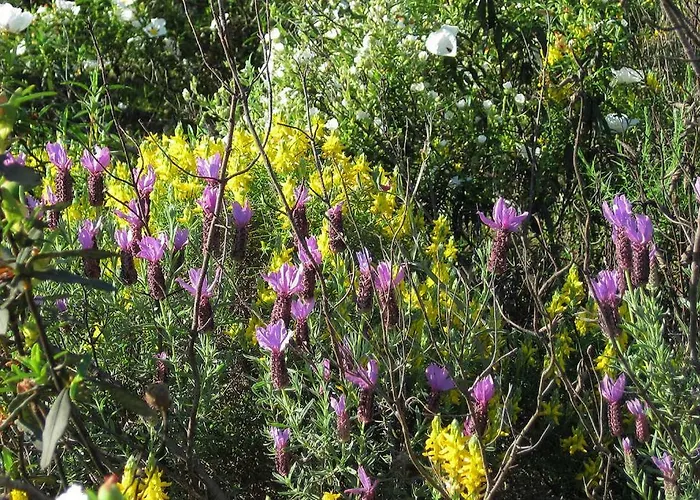 호텔 Moradias Douro Internacional 프라익소데에스파다아신타