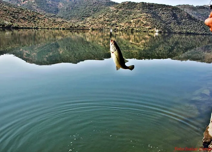 Moradias Douro Internacional 호텔